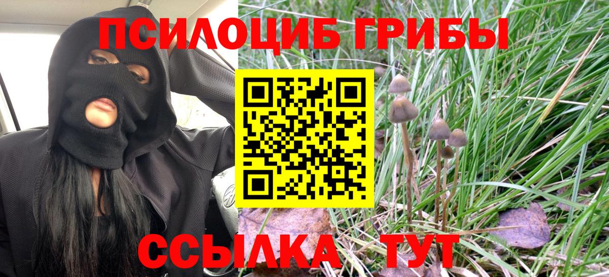Канаш  Галлюциногенные грибы прущие грибы  Псилоцибиновые грибы мухоморы  Вход с VPN 